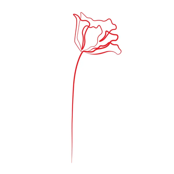 Jeden Perokresba Růže Květ Vektorové Ilustrace — Stockový vektor