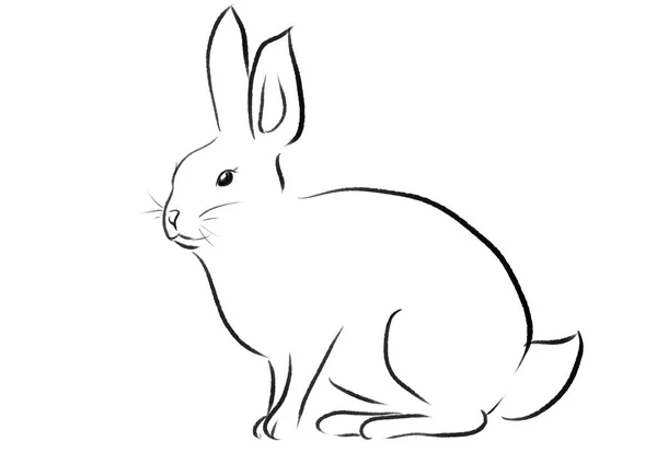 Hermosa Ilustración Conejo Pascua — Foto de Stock
