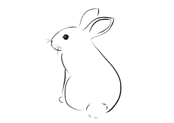Beautiful Easter Rabbit Illustration — Stock Photo, Image