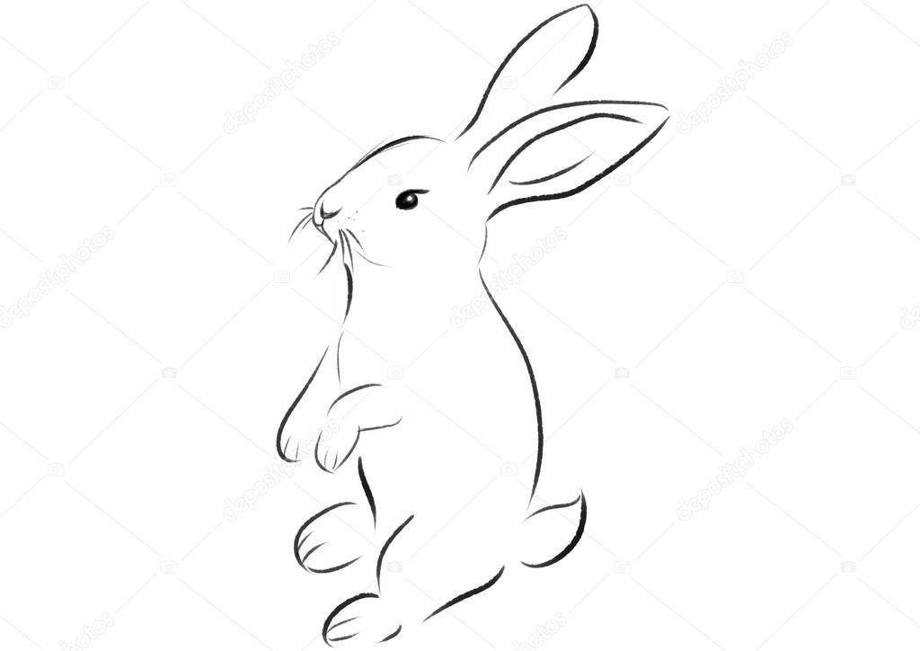 beautiful easter rabbit illustration