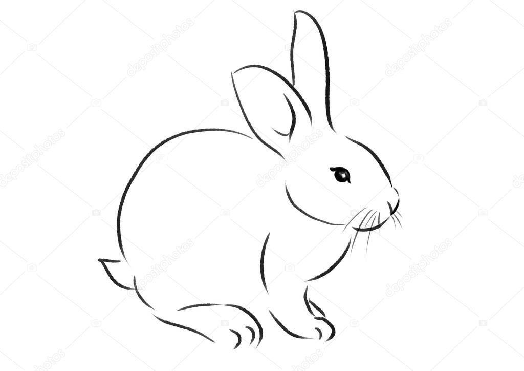 beautiful easter rabbit illustration