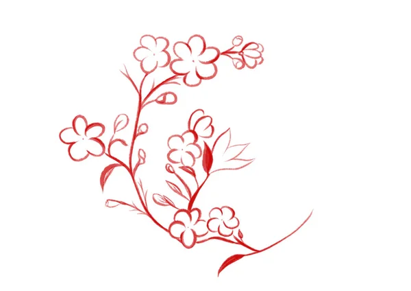 Spring Flowers One Line Illustration — Stock Photo, Image