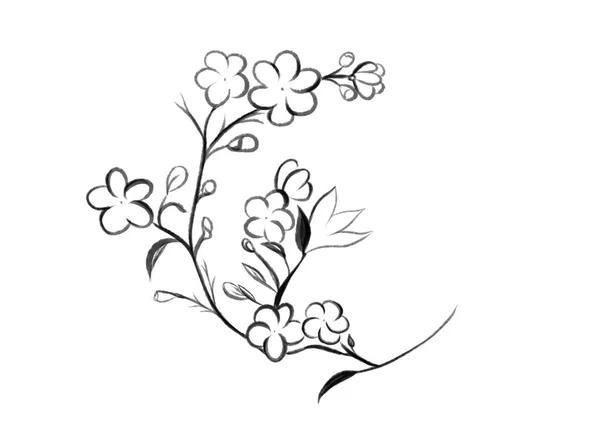 Ilustracja Jeden Wiersz Kwiaty Wiosny — Zdjęcie stockowe