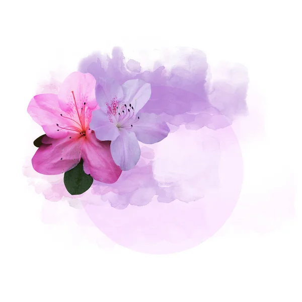 Watercolor Background Flower Illustration — Stock Photo, Image