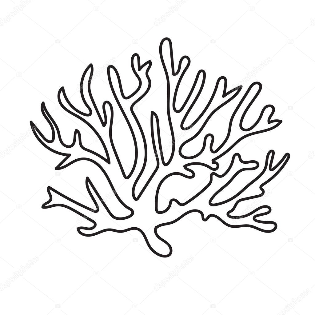 beautiful coral pattern illustration