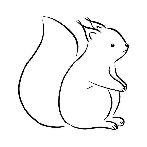 Mignon Écureuil Animal Illustration — Image vectorielle