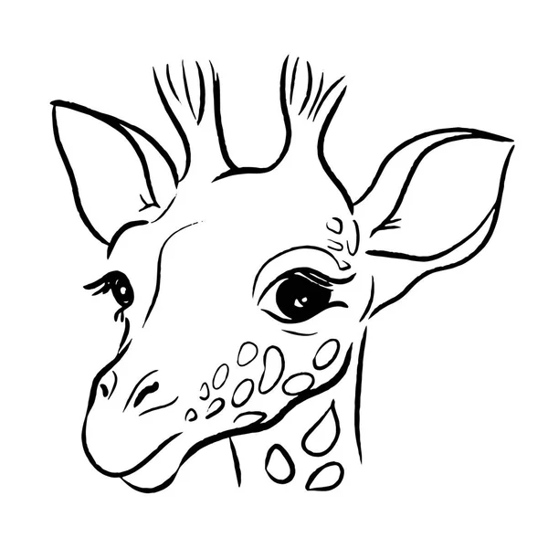 Lijn Giraffe Vector Illustratie — Stockvector