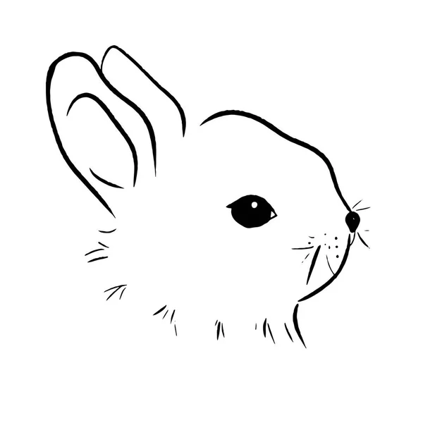 Bunny Line Vector Illustration — Stock Vector