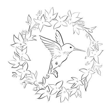 Colibri kroki bir satır çizim vektör çizim
