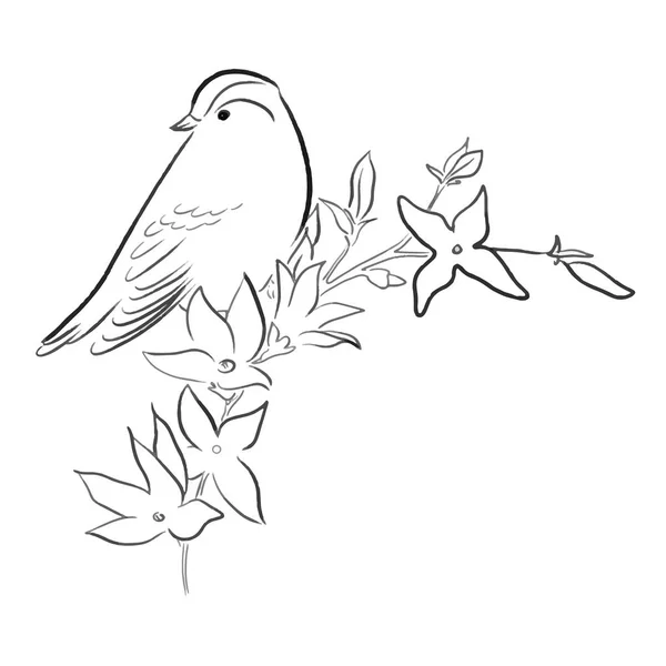 春の花に鳥スケッチ ライン描画ベクトル図 — ストックベクタ