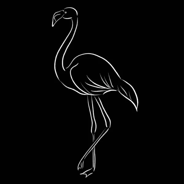 Flamingo Sketch One Line Draw Vector Illustration — Stock Vector