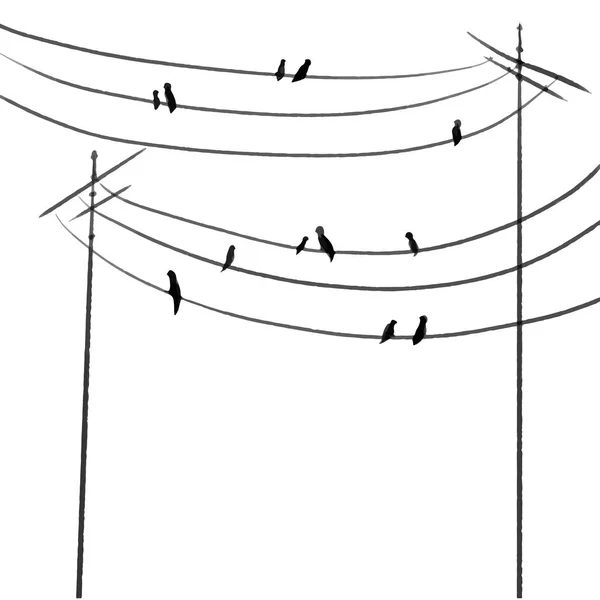 Madarak Vezetékeket Egy Sor Dolgozzon Vektoros Illusztráció — Stock Vector