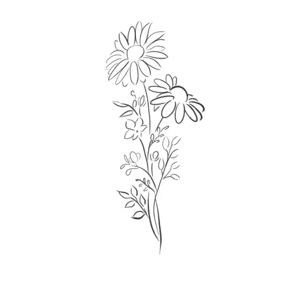 Summer Elegant Flowers One Line Draw Vector Illustration — Stock Vector