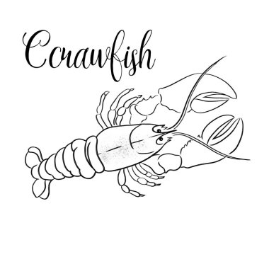 Beyaz üzerinde CRAW balık hattı vektör illüstrasyon