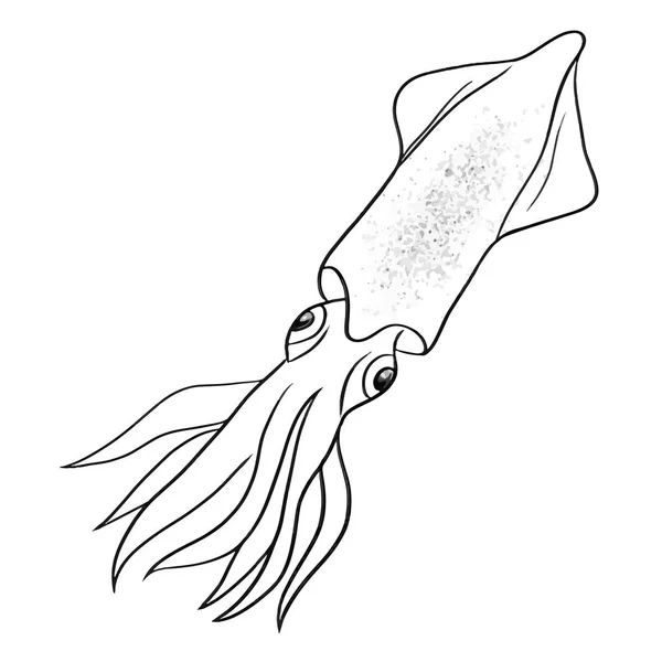 Squid Lijn Vector Illustratie Wit — Stockvector