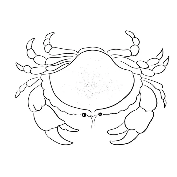 Illustration Vectorielle Ligne Crabe Sur Blanc — Image vectorielle