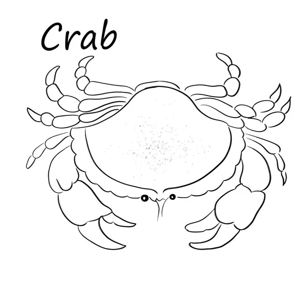 Illustration Vectorielle Ligne Crabe Sur Blanc — Image vectorielle