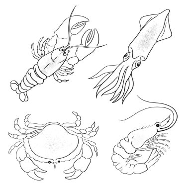 Deniz balıklar hayvanlar vektör illüstrasyon beyaz