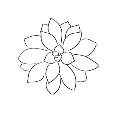 sulu meyveler çizgi vektör illüstrasyon