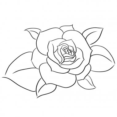 sulu meyveler çizgi vektör illüstrasyon