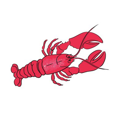 Crawfish çizgi vektör illüstrasyon