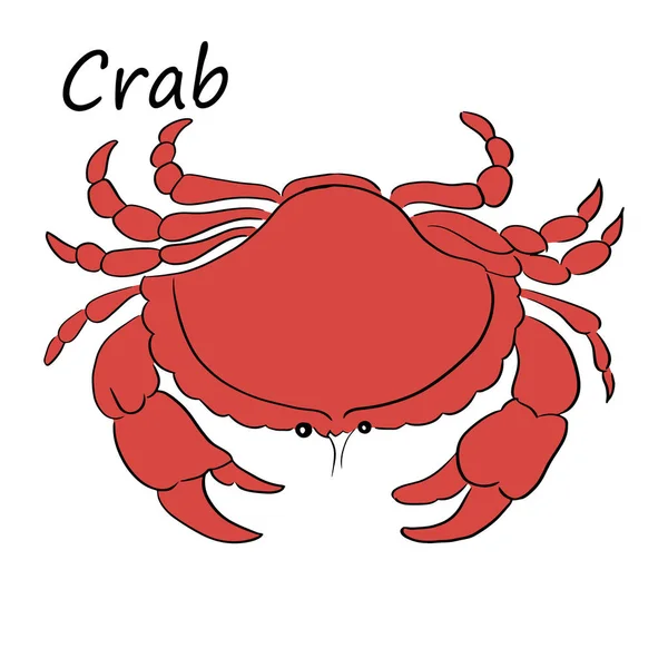 Illustration Vectorielle Ligne Crabe — Image vectorielle