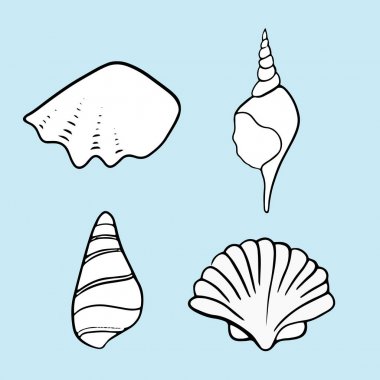 Seashell yaz vektör illüstrasyon 