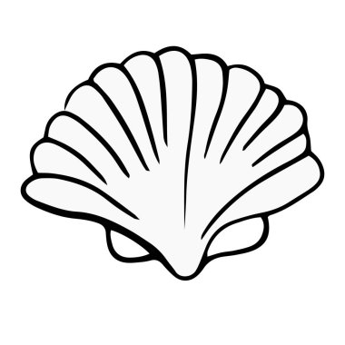 Seashell yaz vektör illüstrasyon 