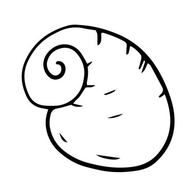Seashell yaz vektör illüstrasyon 