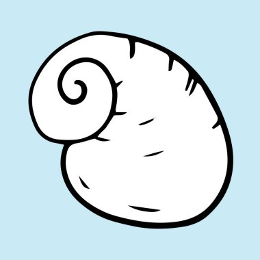 Seashell yaz vektör illüstrasyon 