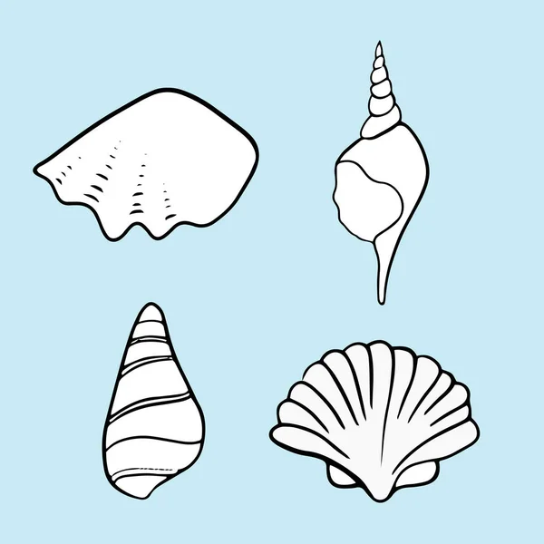 Seashell Zomer Vector Illustratie — Stockvector