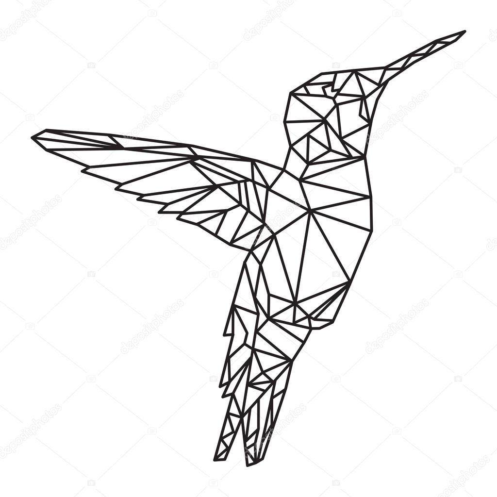 Geometric colibri bird vector illustration
