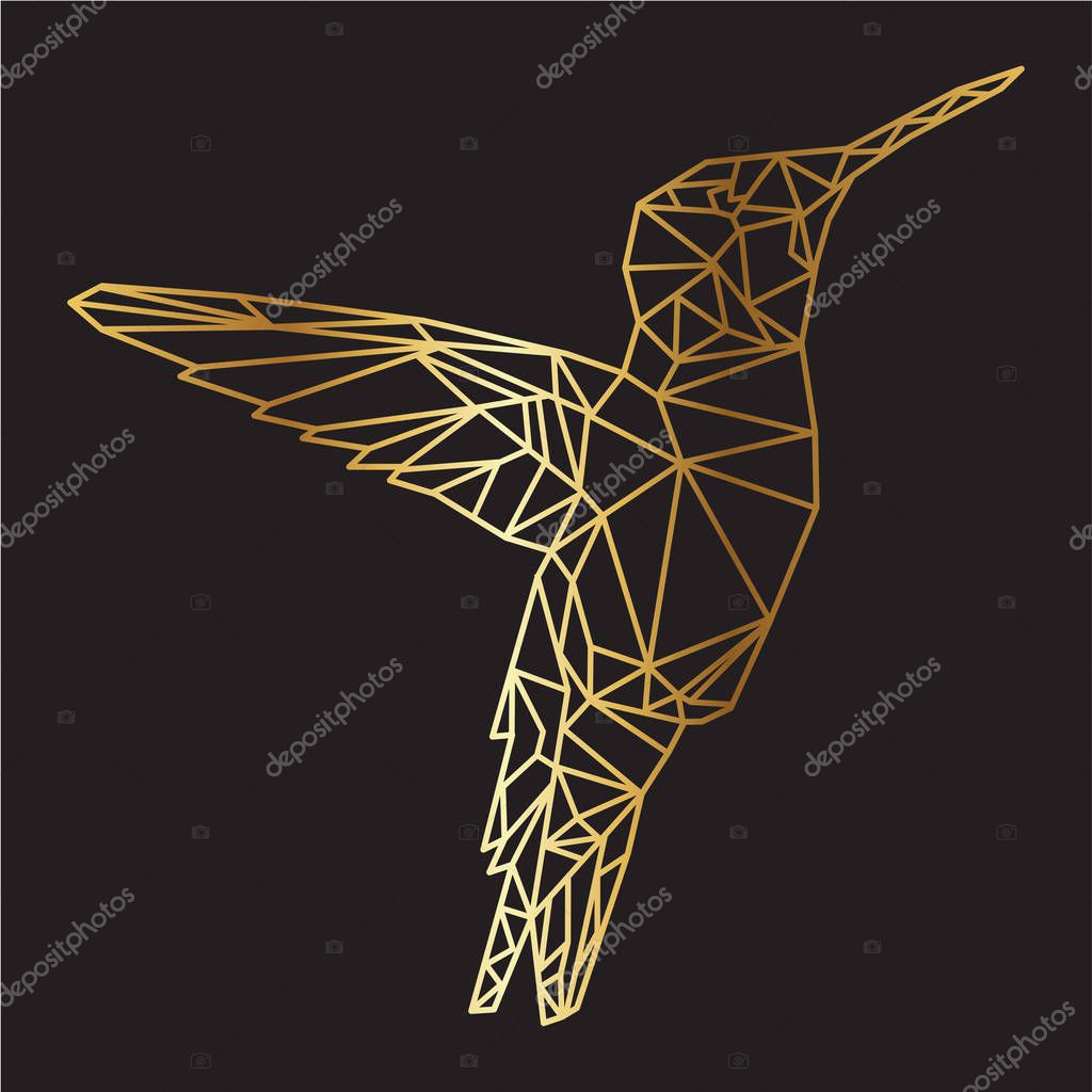 Geometric colibri bird vector illustration