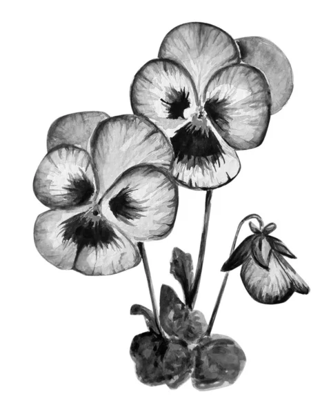 Krásná Fialová Květinová Barva Ilustrace — Stock fotografie