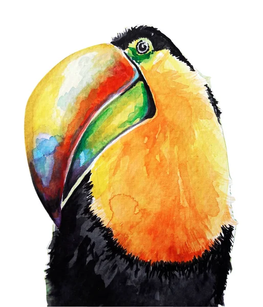 Toucan Bird Water Kleur Kunst Illustratie — Stockfoto