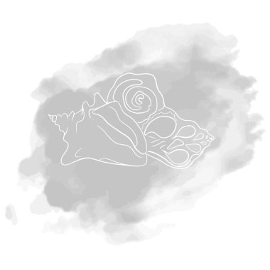 güzel soyut deniz kabuğu vektör illüstrasyon