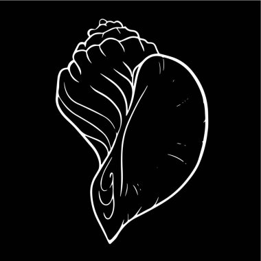 Güzel deniz kabuğu hattı vektör illüstrasyon