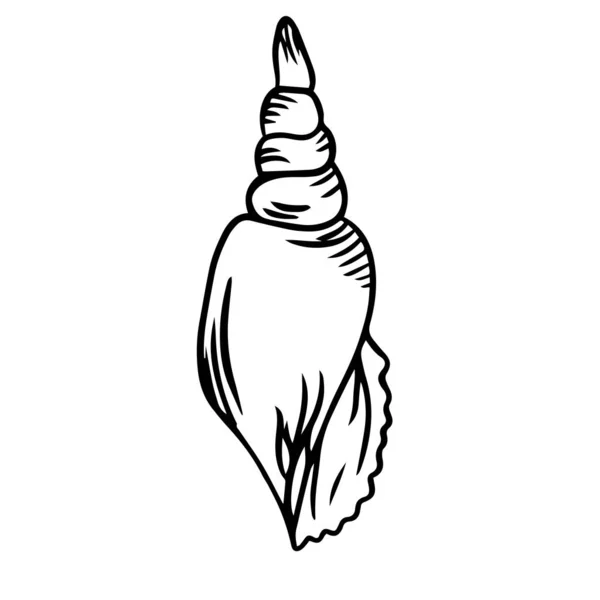 Prachtige Seashell Lijn Vector Illustratie — Stockvector