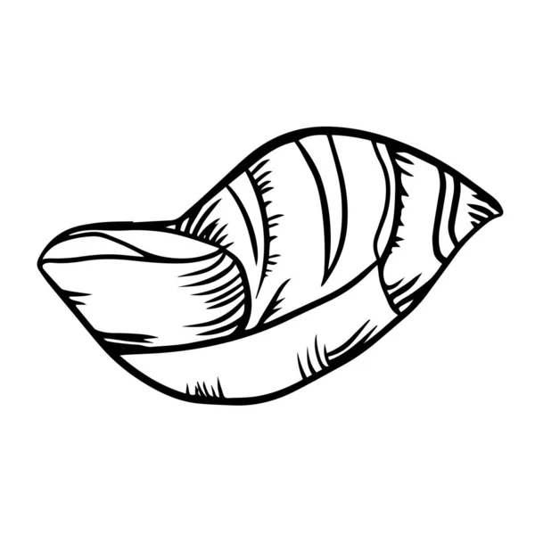 Ilustracja Linia Piękny Seashell Wektor — Wektor stockowy