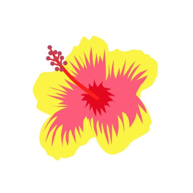 Egzotik yaz çiçek vektör illüstrasyon