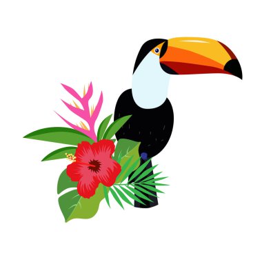 Güzel toucan karikatür vektör illüstrasyon