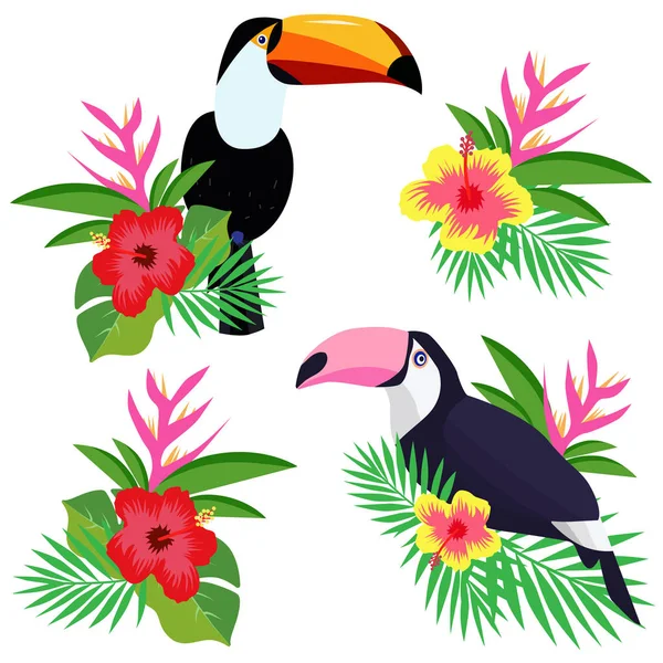 Mooie Toucan Cartoon Vector Illustratie — Stockvector