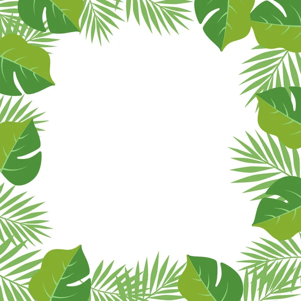 Folhas Palma Exóticas Quadro Ilustração Vetorial — Vetor de Stock