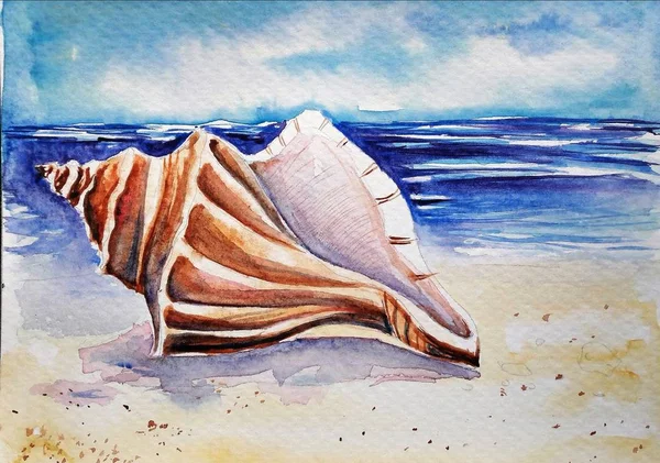 Vackra Seashell Stranden Akvarell Illustration — Stockfoto