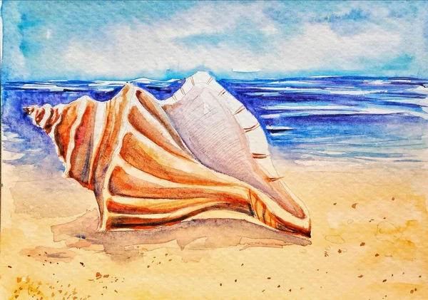 Vackra Seashell Stranden Akvarell Illustration — Stockfoto