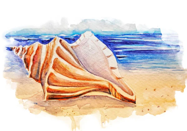 Piękny Seashell Plaży Akwarela Ilustracja — Zdjęcie stockowe