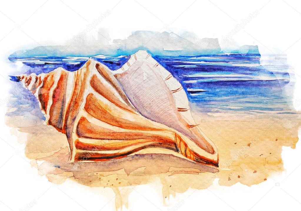 Beautiful seashell on the beach watercolor illustration