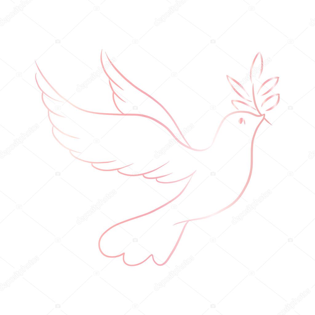 Beautiful line sketch dove bird vector illustration