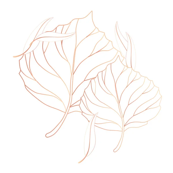 Print Line Sketch Tree Leaf Vector Illustration — Stock Vector