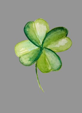 Güzel yonca bitkisi suluboya çizimi